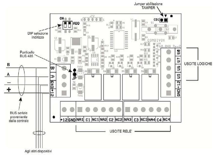 Schema di Principio della Scheda Rel Aggiuntiva