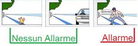 Diagramma Rilevatore Infrarosso Esterno Securvera